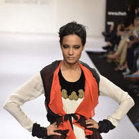 Lakme Fashion Week 2011 Day 5 Pictures | Picture 63178
